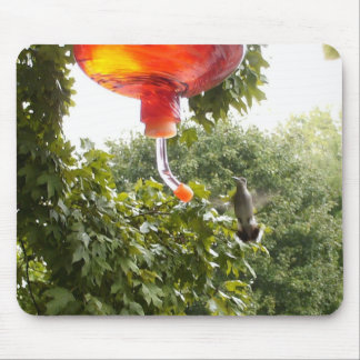 Hummingbird 2 , Mousepad