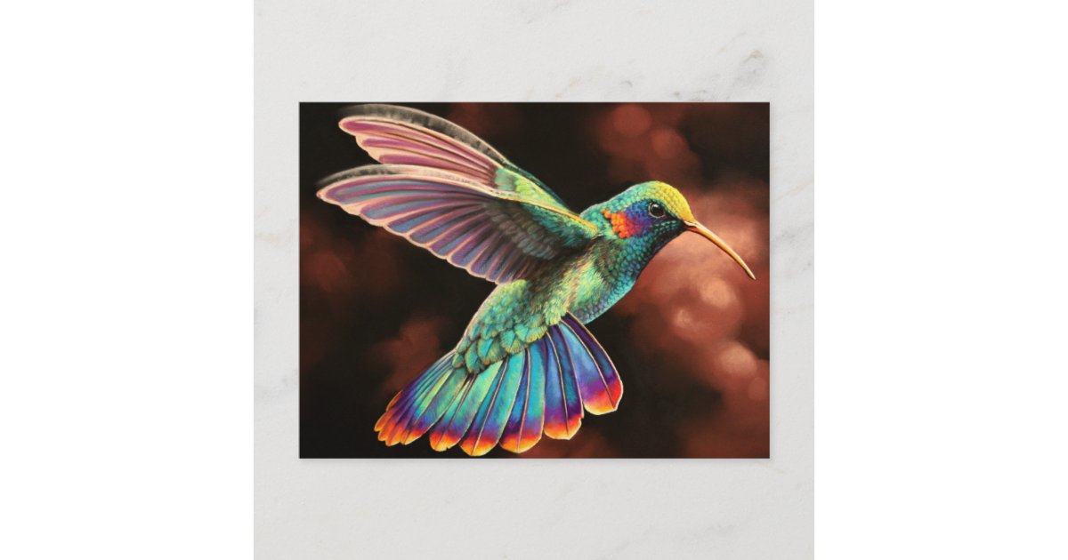 Hummingbird 2 Postcards | Zazzle