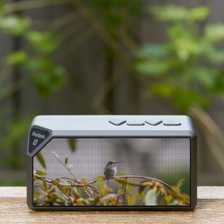 Hummingbird 3346 bluetooth speaker