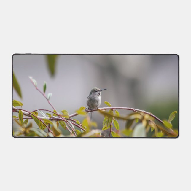 Hummingbird 3346 desk mat (Front)