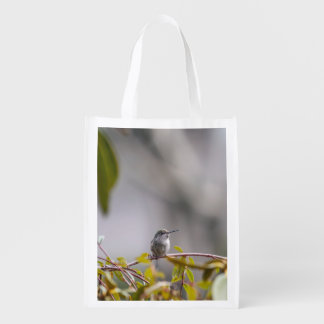 Hummingbird 3346 grocery bag