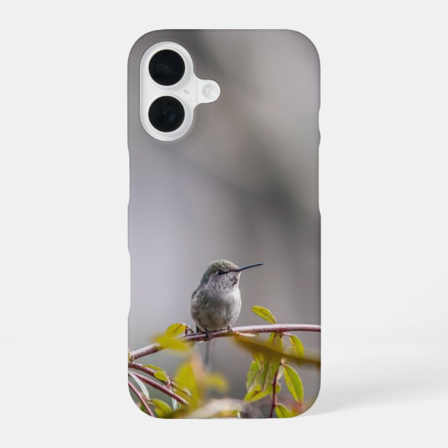 Hummingbird 3346 iphone case (Back)