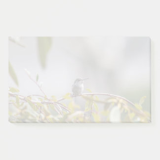 Hummingbird 3346 post-it notes