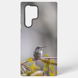 Hummingbird 3346 samsung galaxy s22 ultra case