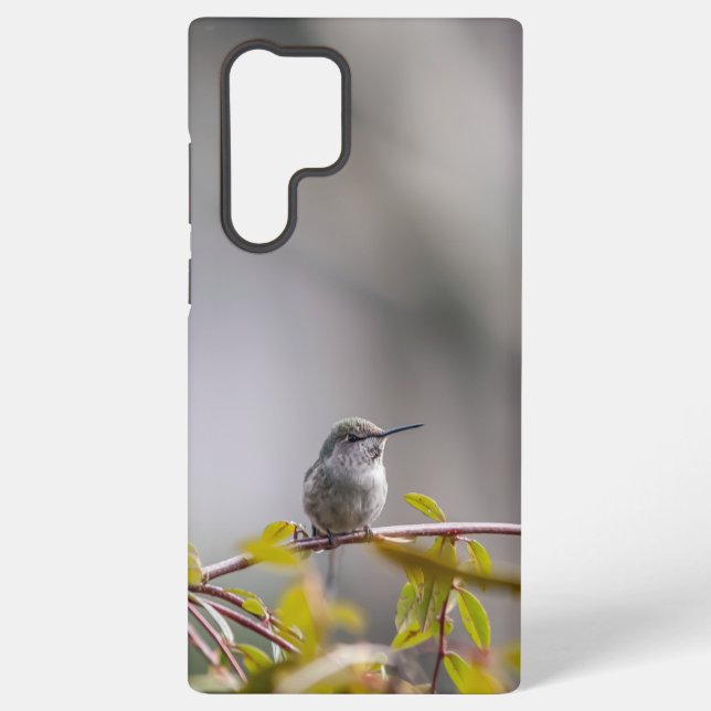 Hummingbird 3346 samsung galaxy case (Back)