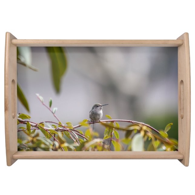 Hummingbird 3346 serving tray (Front)