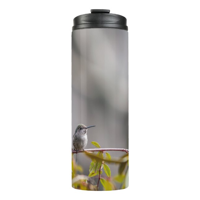 Hummingbird 3346 thermal tumbler (Front)