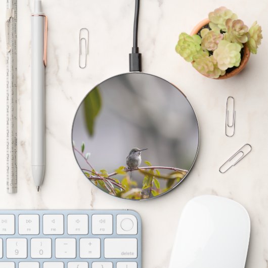 Hummingbird 3346 wireless charger (Desk)