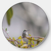 Hummingbird 3346 wireless charger (Front)