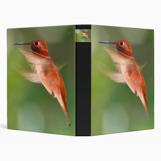 hummingbird 3 ring binder (Background)