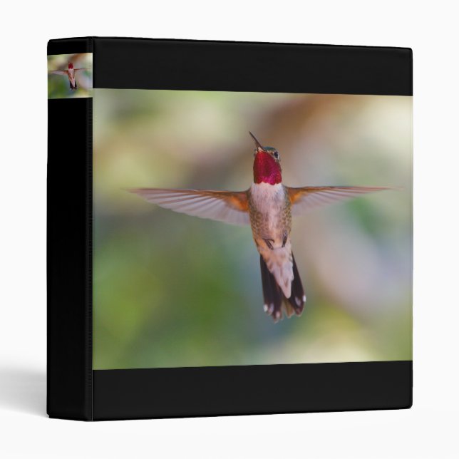 hummingbird 3 ring binder (Front/Spine)