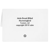 Hummingbird 468 (Back Horizontal)