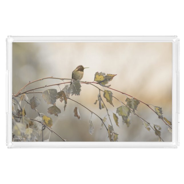 Hummingbird 5265 acrylic tray (Front)