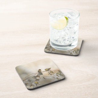 Hummingbird 5265 beverage coaster