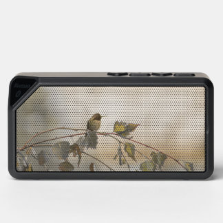 Hummingbird 5265 bluetooth speaker