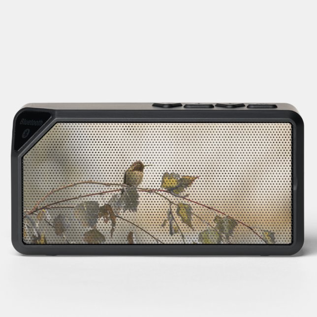 Hummingbird 5265 bluetooth speaker (Front)