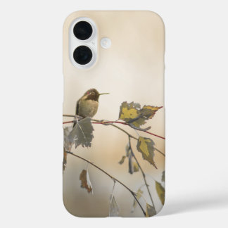 Hummingbird 5265 iPhone 16 case