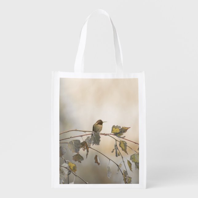 Hummingbird 5265 grocery bag (Front)