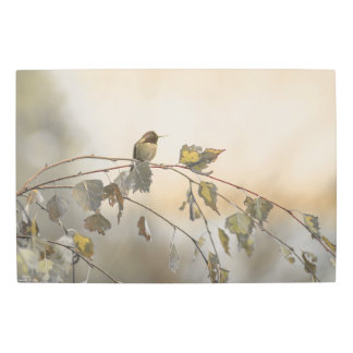 Hummingbird 5265 metal print
