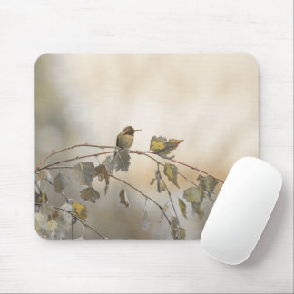 Hummingbird 5265 mouse pad