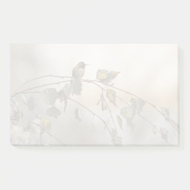 Hummingbird 5265 post-it notes (Front)