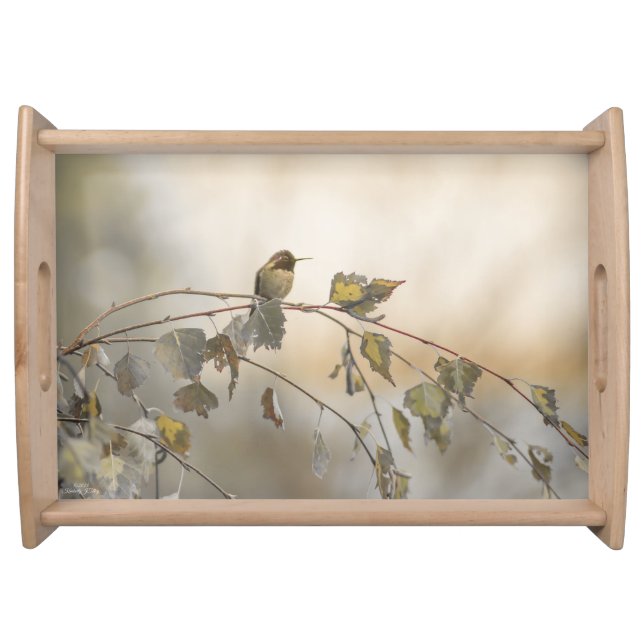 Hummingbird 5265 serving tray (Front)