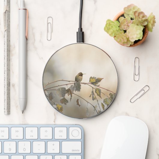 Hummingbird 5265 wireless charger (Desk)
