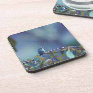 Hummingbird 5738 beverage coaster