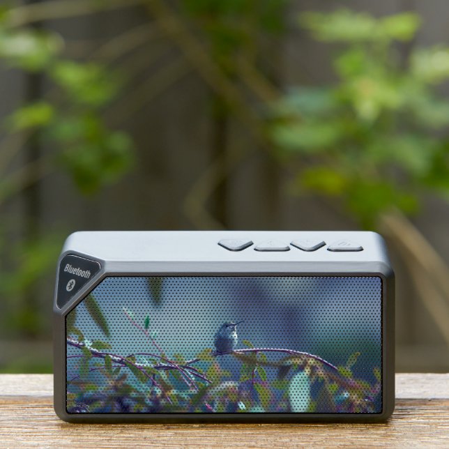 Hummingbird 5738 bluetooth speaker (Insitu(Outdoor))