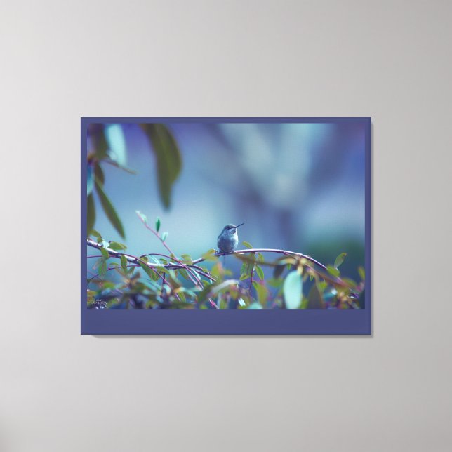 Hummingbird 5738 canvas print (Front)