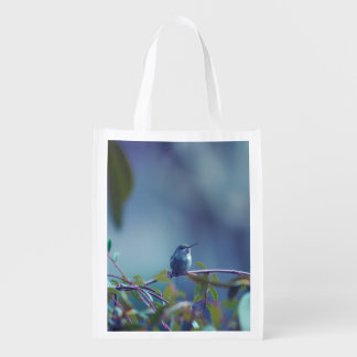 Hummingbird 5738 grocery bag