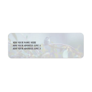 Hummingbird 5738 label