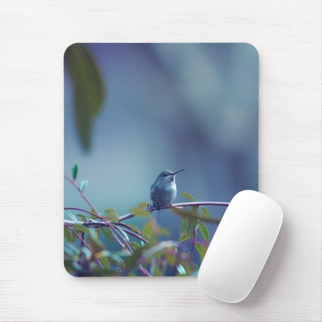 Hummingbird 5738 mouse pad (With Mouse)