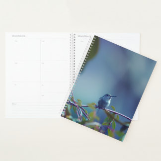 Hummingbird 5738 planner