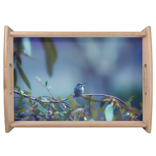 Hummingbird 5738 serving tray (Front)