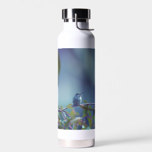 Hummingbird 5738 water bottle