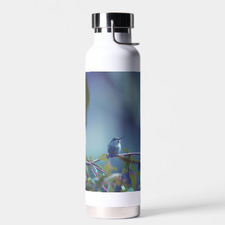 Hummingbird 5738 water bottle