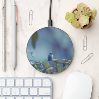 Hummingbird 5738 wireless charger