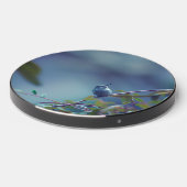 Hummingbird 5738 wireless charger (Front 2)