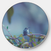 Hummingbird 5738 wireless charger (Front)