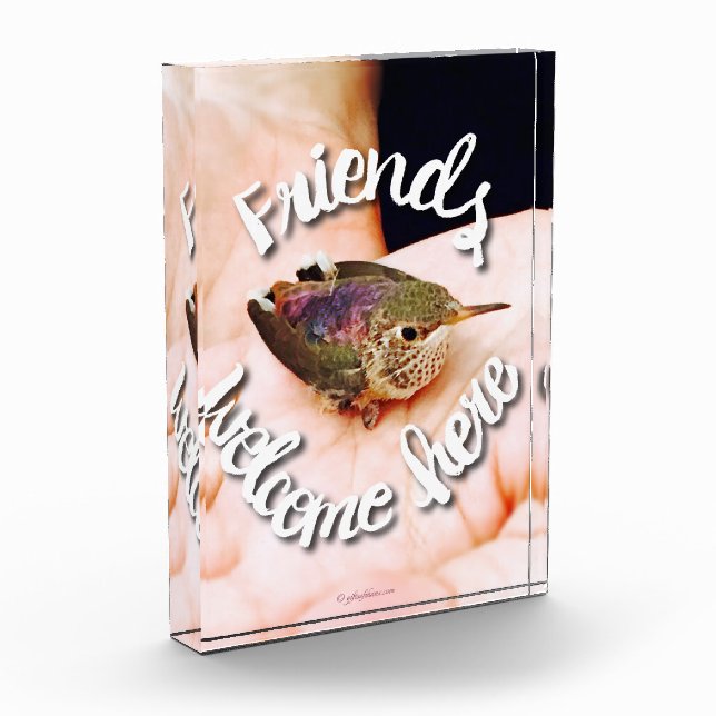 Hummingbird Acrylic Block (Left)