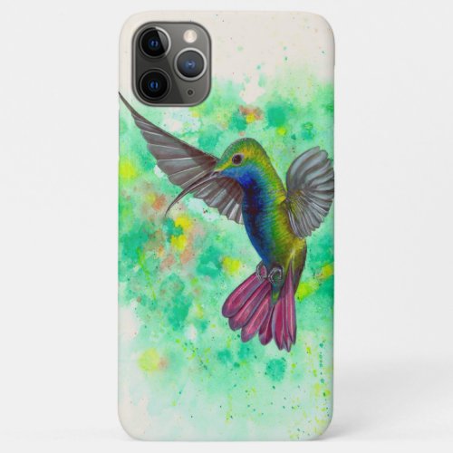 Hummingbird _ acrylic painting iPhone 11 pro max case