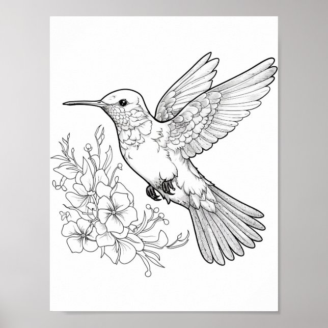 Hummingbird Adult Coloring Poster (Front)