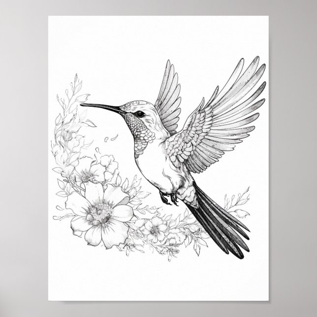 Hummingbird Adult Coloring Poster (Front)