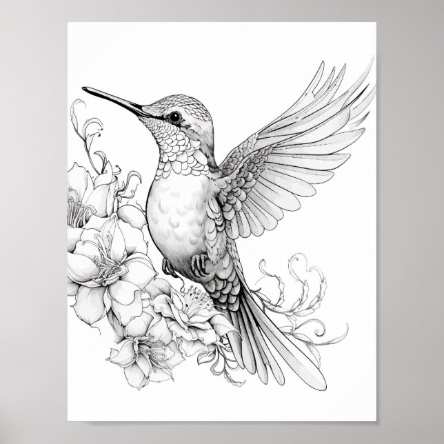 Hummingbird Adult Coloring Poster (Front)