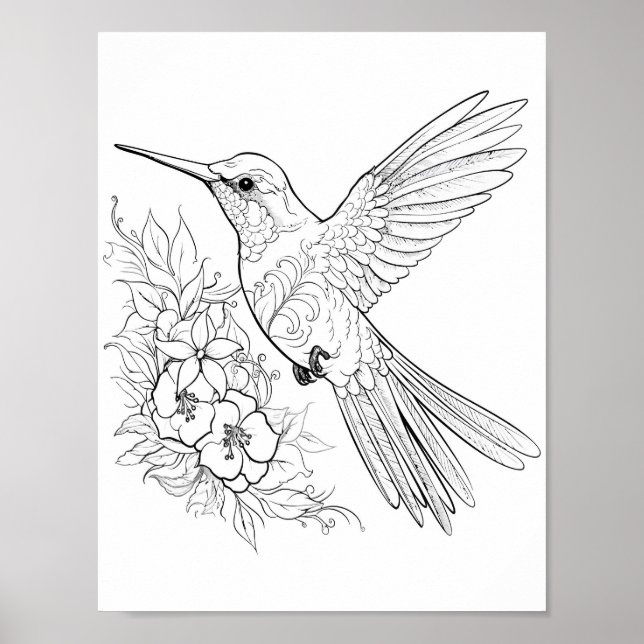 Hummingbird Adult Coloring Poster (Front)