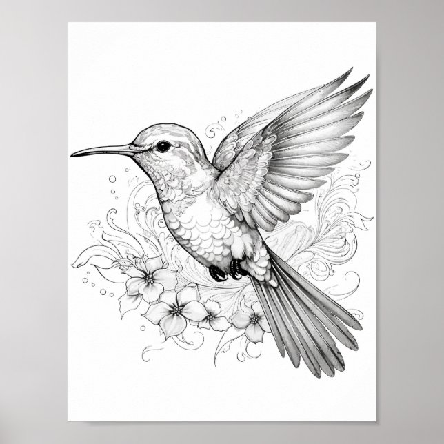 Hummingbird Adult Coloring Poster (Front)