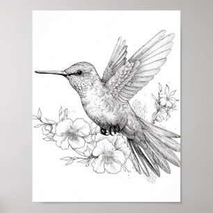 Hummingbird Adult Coloring Poster