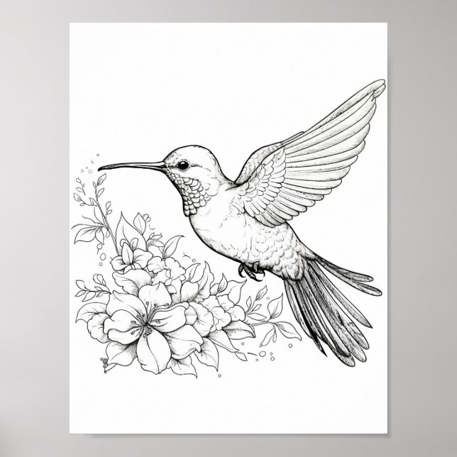 Hummingbird Adult Coloring Poster (Front)