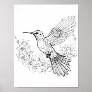 Hummingbird Adult Coloring Poster